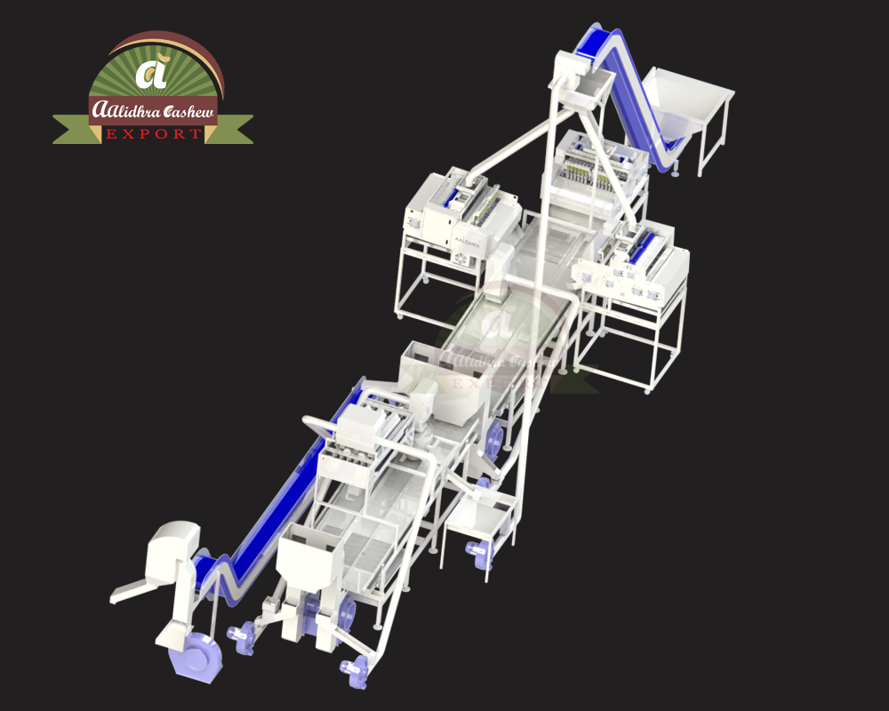 SM1200 Cashew Scooping Line Top View