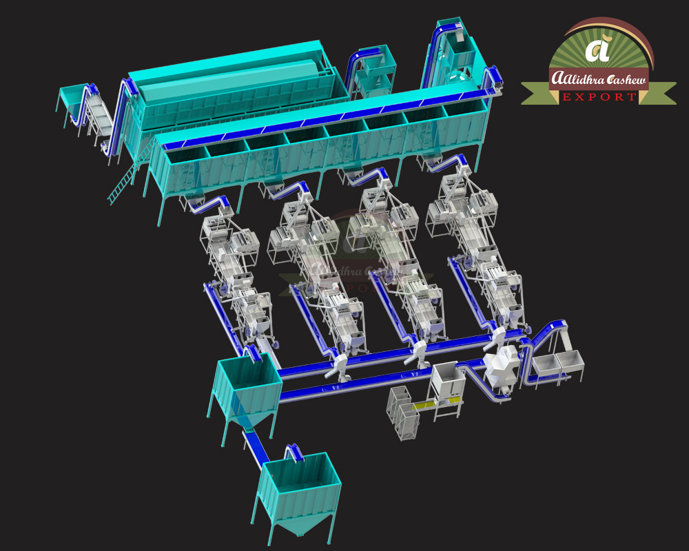 Fully Automatic Cashew Processing Plant Layout Manufacturer